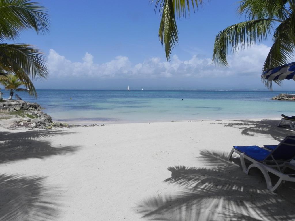 Appartement T1 Sur La Plage Et Vue Mer Le Gosier  Room photo